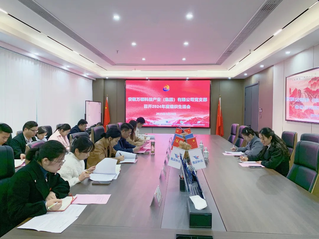 以党建促发展 凝心聚力谱新篇丨尊龙凯时人生就搏集团党支部召开2024年度组织生活会