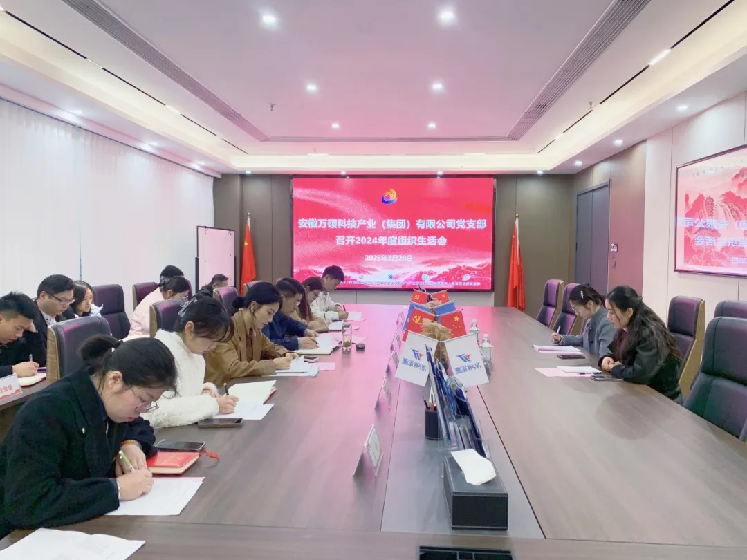以党建促发展 凝心聚力谱新篇丨尊龙凯时人生就搏集团党支部召开2024年度组织生活会
